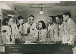 1950年，著名微生物藥物學家，后任上海醫(yī)藥工業(yè)研究院抗生素室主任、副院長、名譽院長的童村，與科研人員開展課題研究