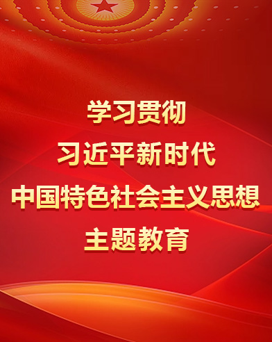 學(xué)習(xí)貫徹習(xí)近平新時(shí)代中國特色社會主義思想主題教育